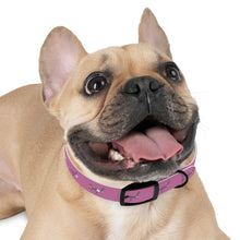 Load image into Gallery viewer, "Guardian Angel" Dog Collar (Pink)