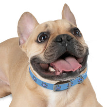 Load image into Gallery viewer, "Spirit Guide" Dog Collar (Blue)