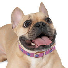 Load image into Gallery viewer, "Spirit Guide" Dog Collar (Pink)