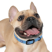 Load image into Gallery viewer, "Spirit Guide" Dog Collar (Blue)