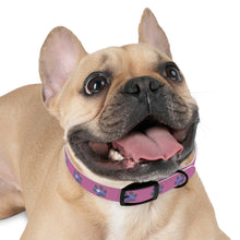 Load image into Gallery viewer, "Spirit Guide" Dog Collar (Pink)