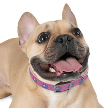 Load image into Gallery viewer, &quot;Spirit Guide&quot; Dog Collar (Pink)
